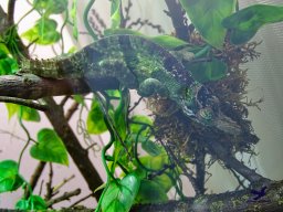 Tiergarten Schönbrunn am 03.10.2025